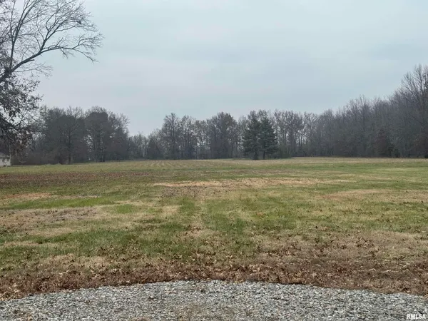 a view of a field with an ocean