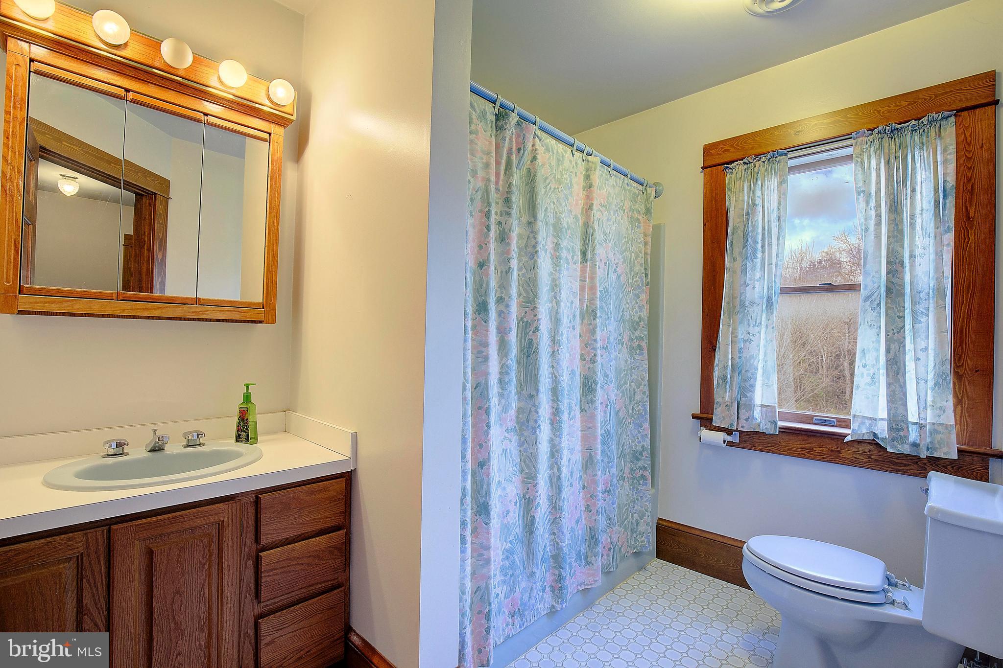 23369 Colton Point Road Avenue, MD 20609 - Photo 35 of 53 Owners bathroom