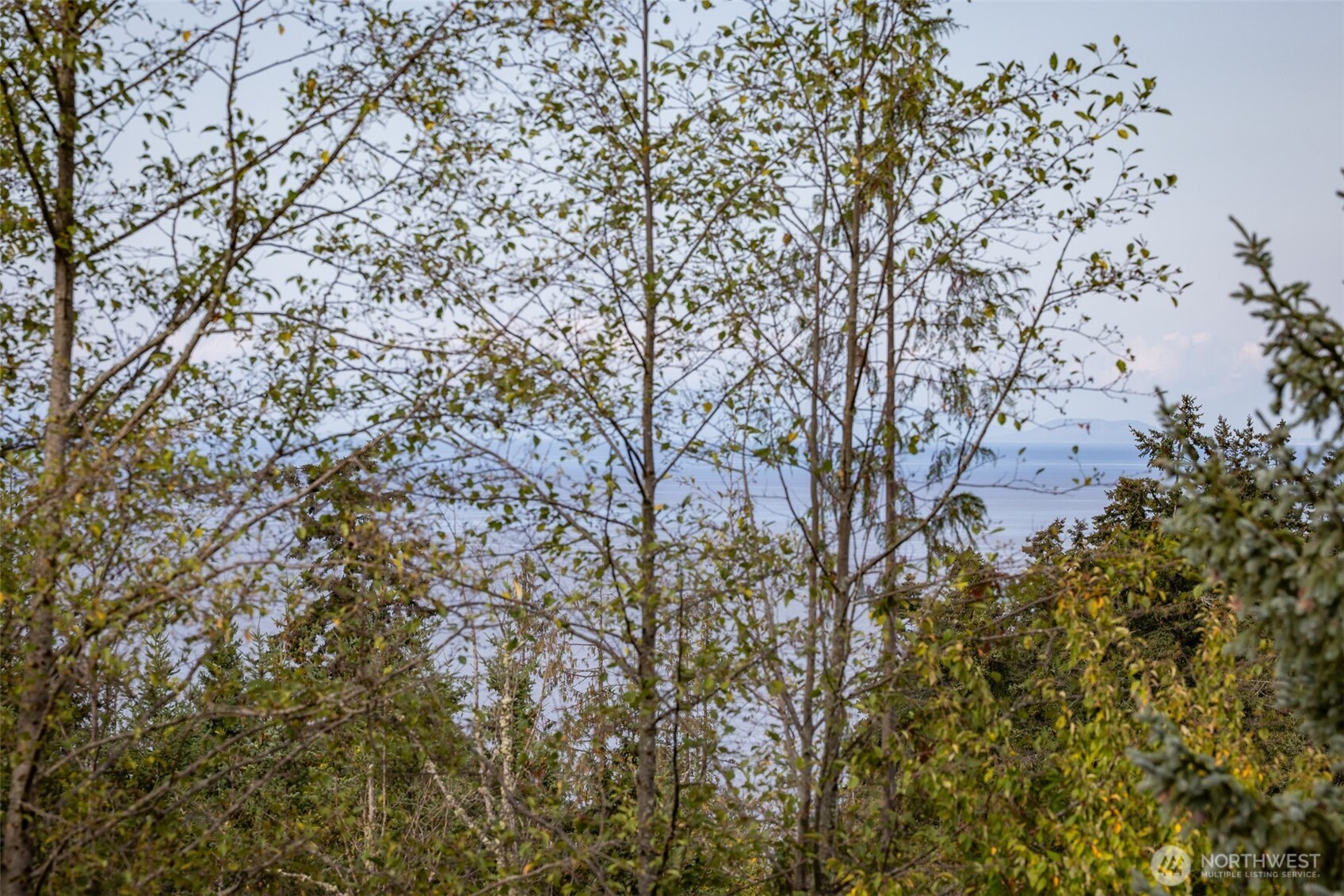 9999 Old Gardiner Road Sequim, WA 98382 - Photo 9 of 31 Gallery Image 9