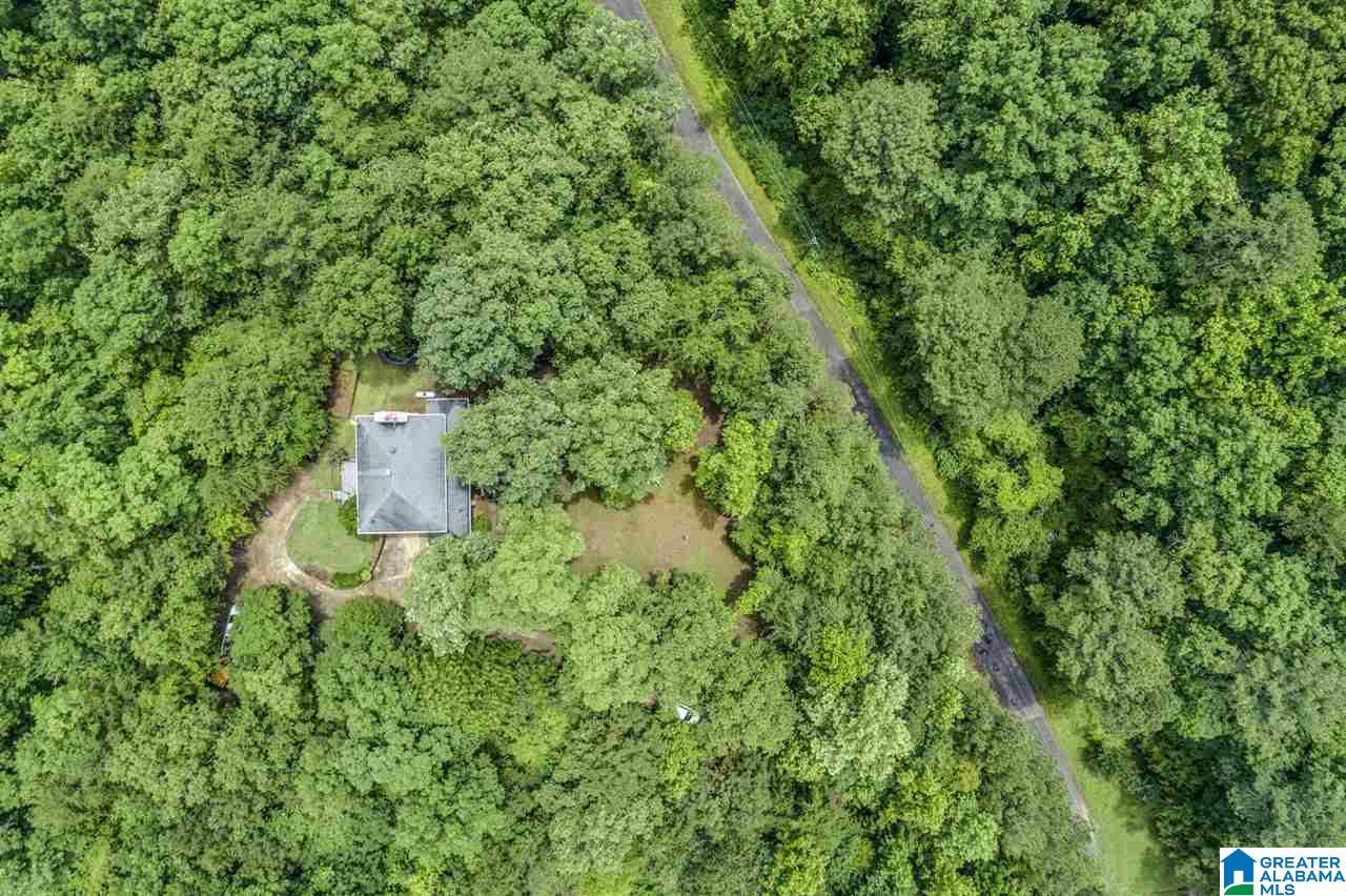 1605 Sagefield Road Warrior, AL 35180 - Photo 12 of 43