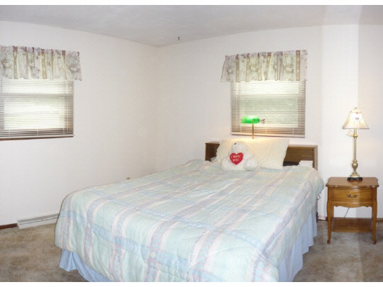3843 Abbotsford Road Rockford, IL 61107 - Photo 5 of 8 a bedroom with a bed and a window