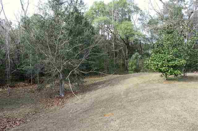 2148 Bullocks Run Road Tallahassee, FL 32303 - Photo 4 of 17 Gallery Image 4