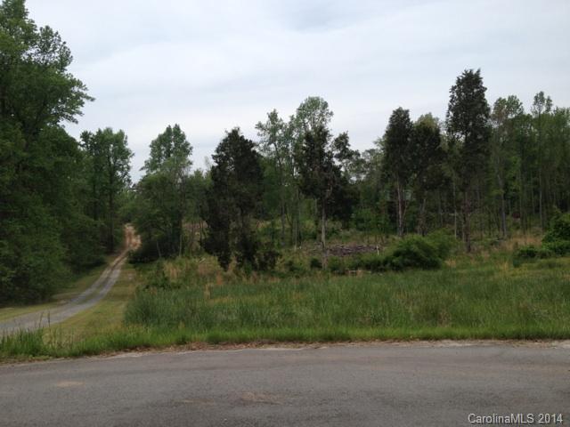 2078 Brer Rabbit Run Rock Hill, SC 29730 - Photo 4 of 9
