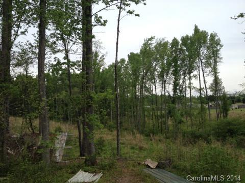 2078 Brer Rabbit Run Rock Hill, SC 29730 - Photo 5 of 9