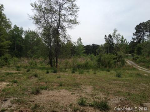 2078 Brer Rabbit Run Rock Hill, SC 29730 - Photo 6 of 9
