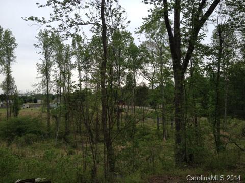 2078 Brer Rabbit Run Rock Hill, SC 29730 - Photo 7 of 9