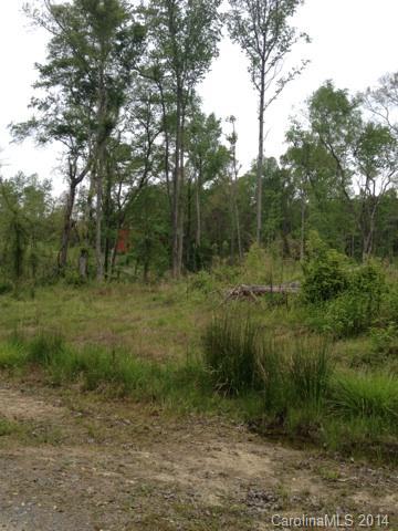 2078 Brer Rabbit Run Rock Hill, SC 29730 - Photo 8 of 9