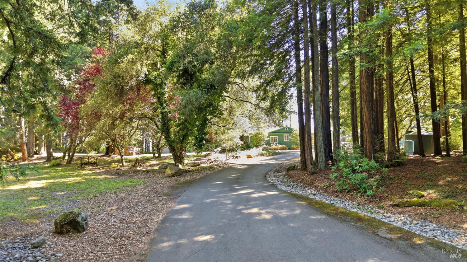 17375 Willow Creek Road Occidental, CA 95465 - Photo 4 of 94