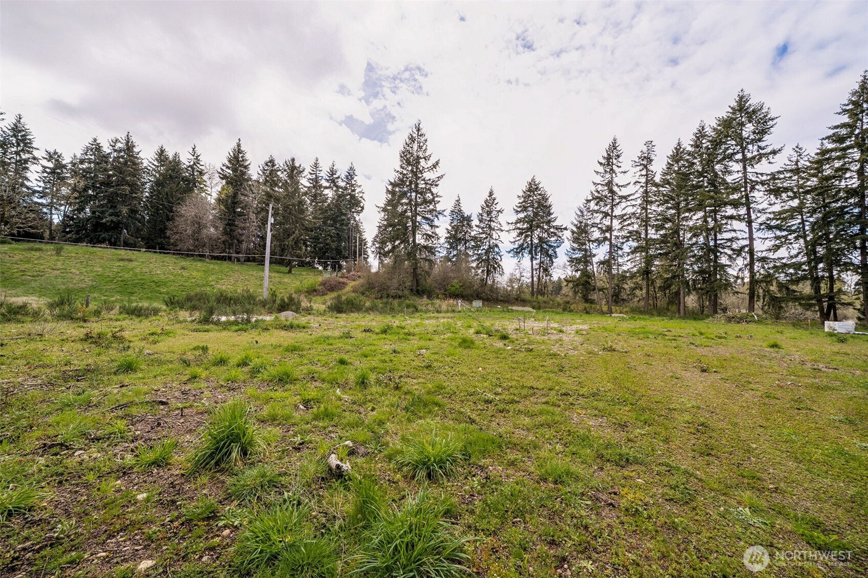 7828 South 288th Street Roy, WA 98580 - Photo 4 of 11