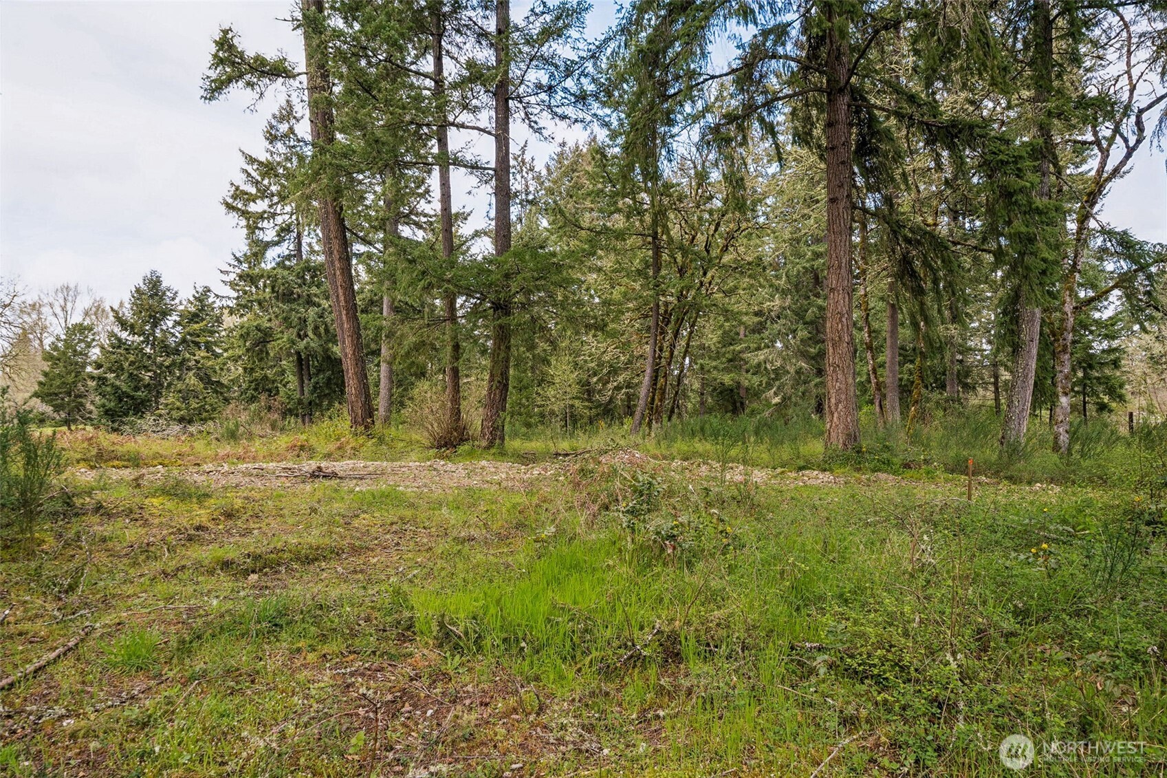 7828 South 288th Street Roy, WA 98580 - Photo 9 of 11