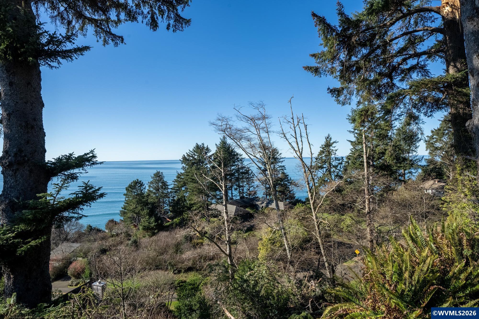 0 Vantage Road Nehalem, OR 97131 - Photo 10 of 15