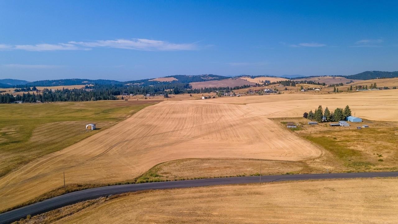 12902 South Jackson Road Mica, WA 99023 - Photo 11 of 20