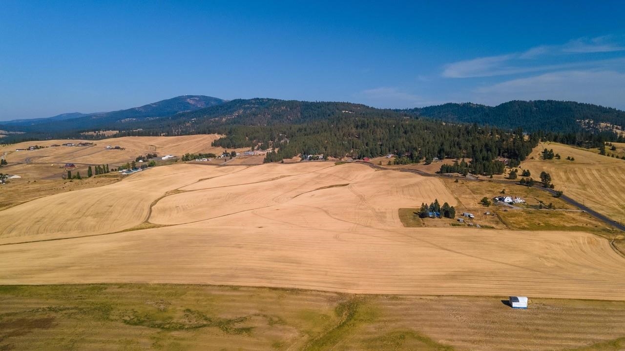 12902 South Jackson Road Mica, WA 99023 - Photo 14 of 20