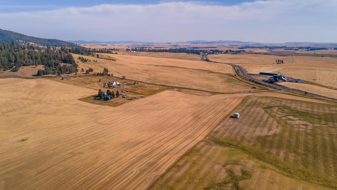 12902 South Jackson Road Mica, WA 99023 - Photo 15 of 20