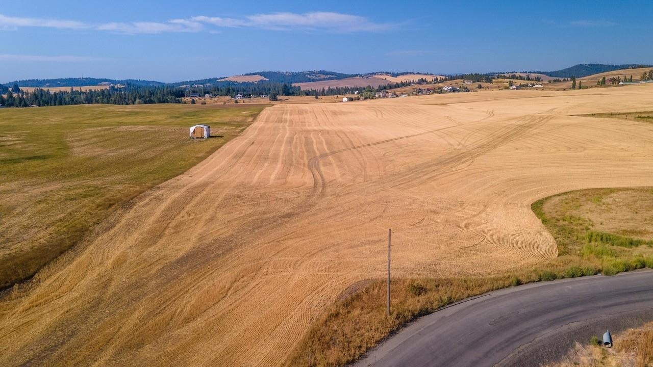12902 South Jackson Road Mica, WA 99023 - Photo 4 of 20