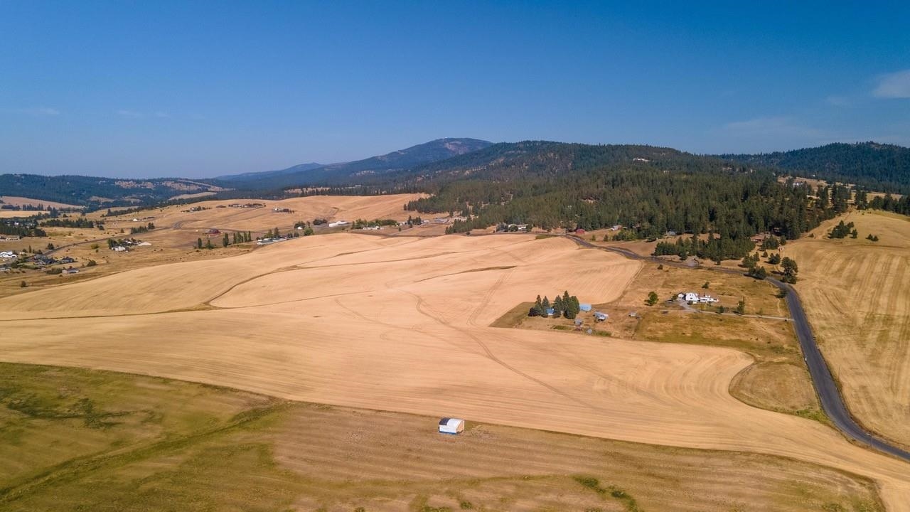 12902 South Jackson Road Mica, WA 99023 - Photo 6 of 20