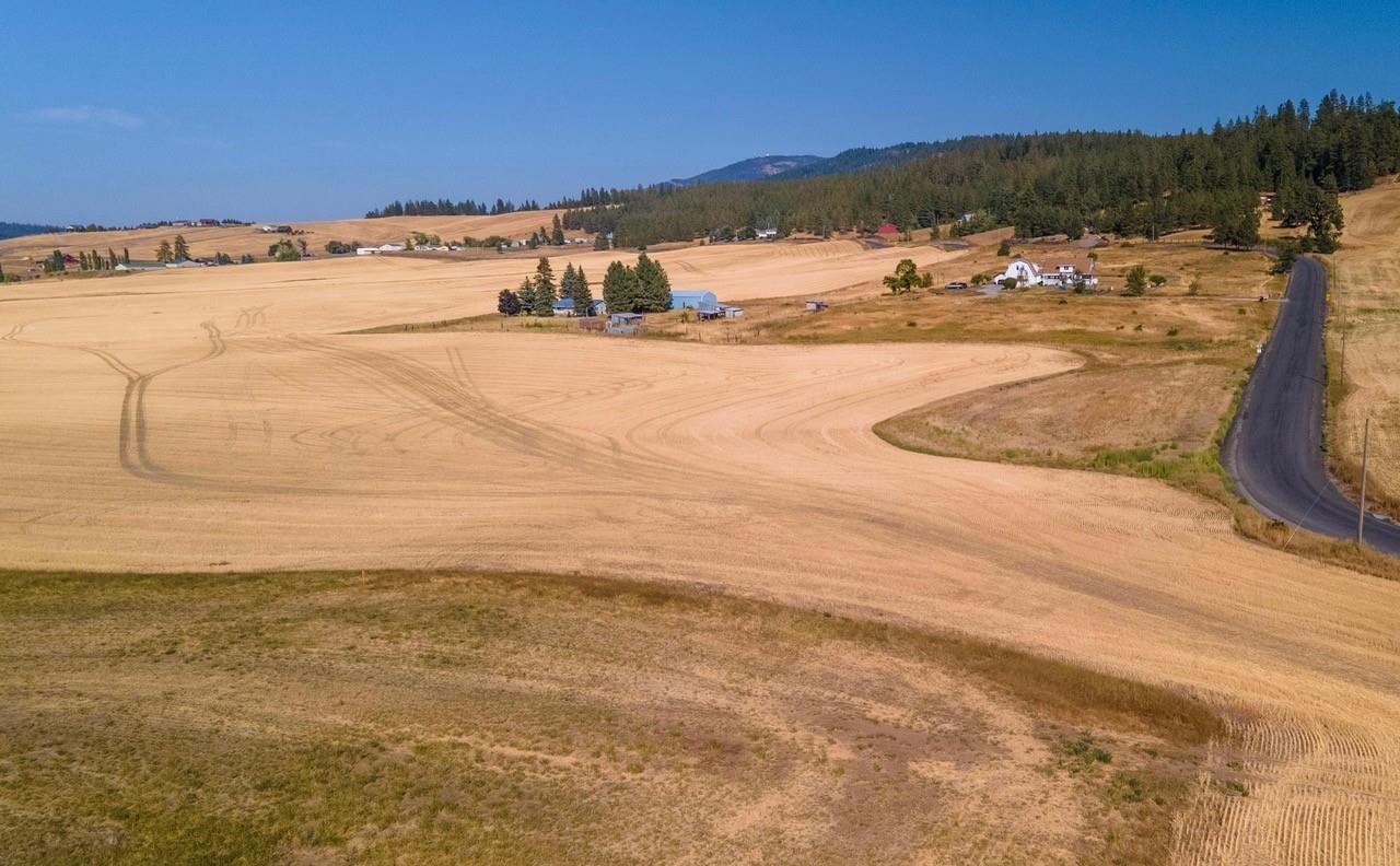 12902 South Jackson Road Mica, WA 99023 - Photo 7 of 20