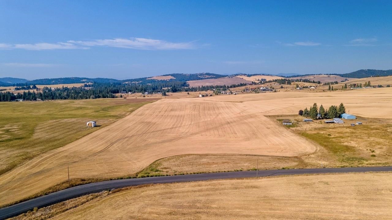 12902 South Jackson Road Mica, WA 99023 - Photo 10 of 20