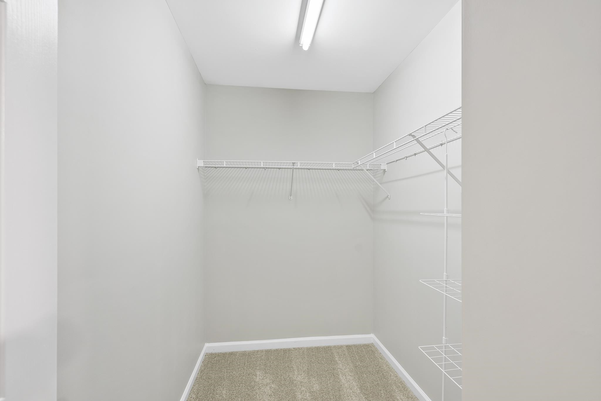 8318 Tierra Del Sol Way Raleigh, NC 27616 - Photo 18 of 25 Walk-in Closet