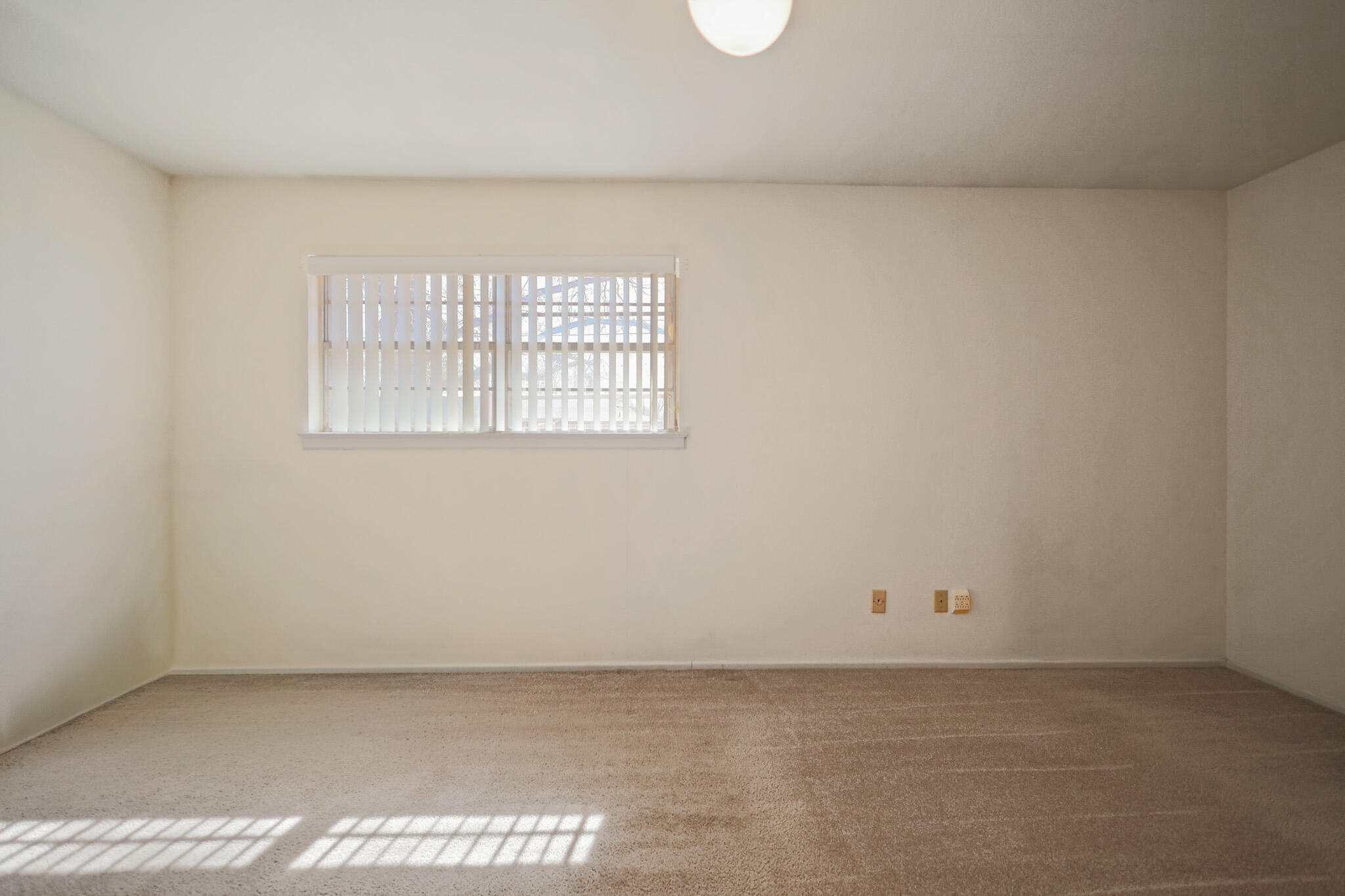 5517 26th Street Lubbock, TX 79407 - Photo 29 of 55 IMG_5815