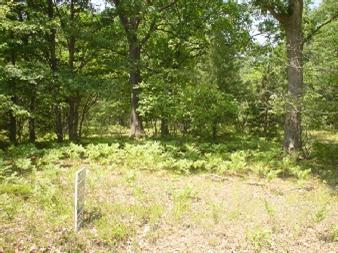 North Tuttle Road Free Soil, MI 49411 - Photo 1 of 2 Primary Photo