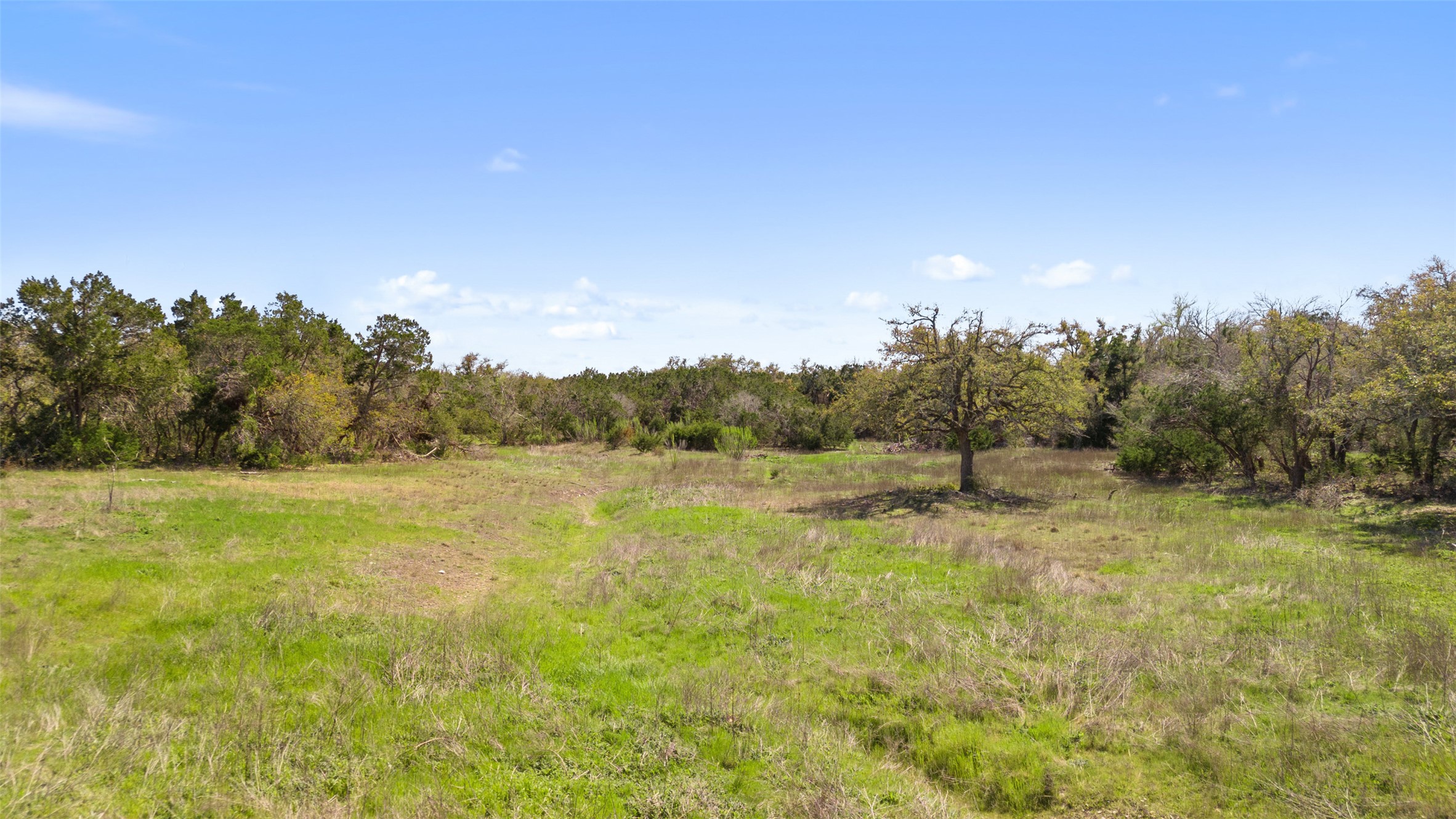 13005 D Fitzhugh Road Austin, TX 78736 - Photo 2 of 15 a view of yard with trees