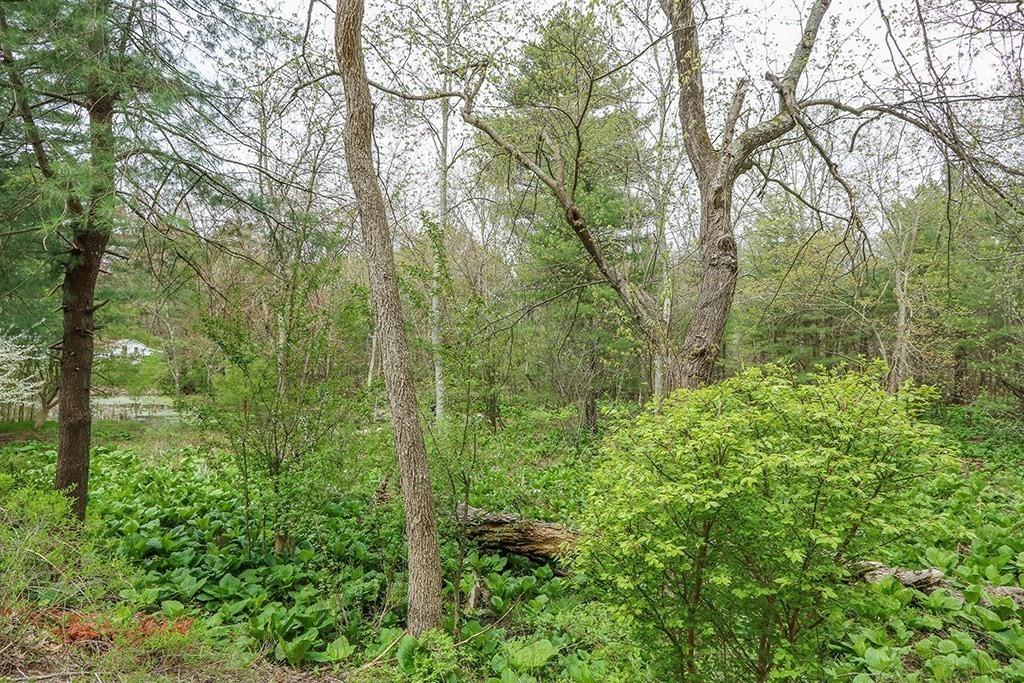 154 Spring Street Medfield, MA 02052 - Photo 35 of 38 Gallery Image 35