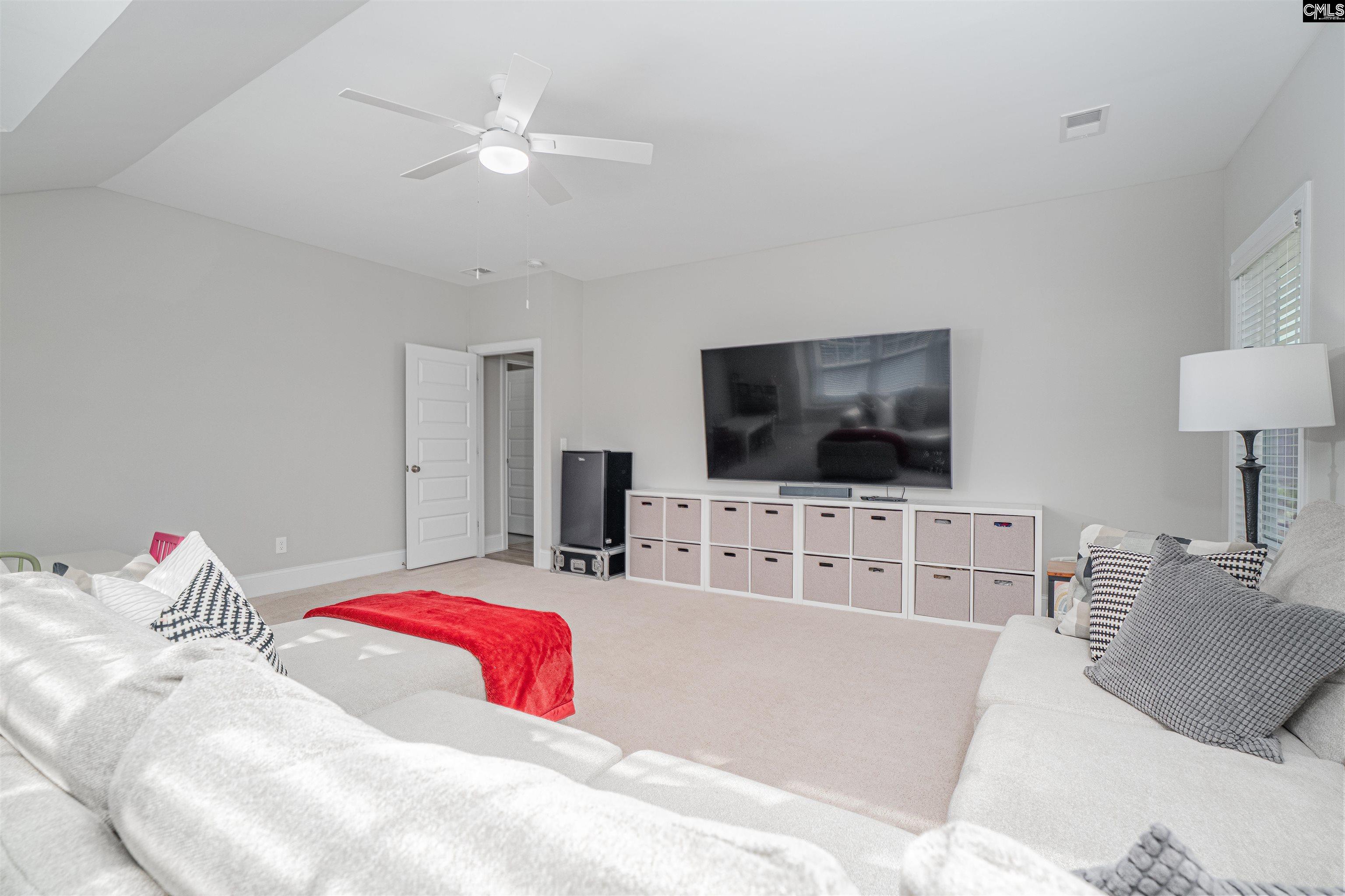 155 Almofini Lane Chapin, SC 29036 - Photo 36 of 65