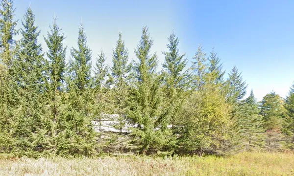$125,000 | 2565 South Larks Lake Road, Harbor Springs, MI 49740