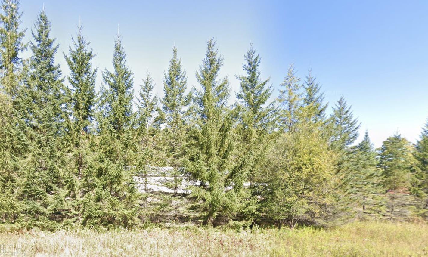 2565 South Larks Lake Road Harbor Springs, MI 49740 - Photo 1 of 1