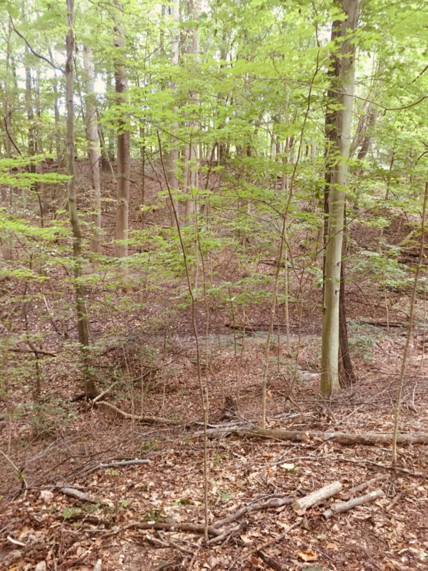 1961 Camp Madron Road, Unit 31 Buchanan, MI 49107 - Photo 21 of 36 31 Camp Madron Woods 9.1.20