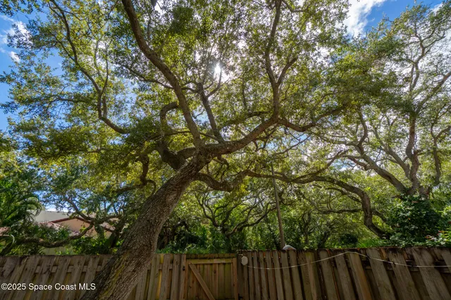 a view of a patio with table and chairs and potted plants
