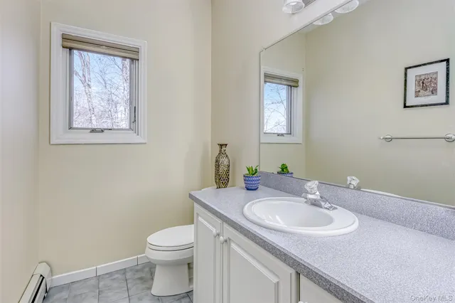 a bathroom with a sink and a toilet
