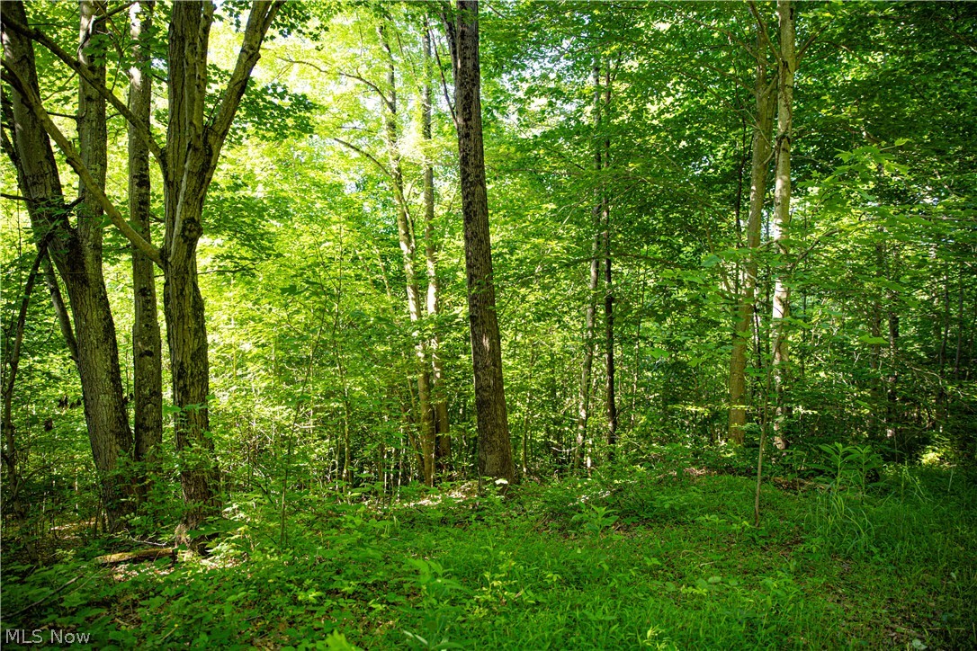 4185 Baughman Run Road Roseville, OH 43777 - Photo 16 of 29