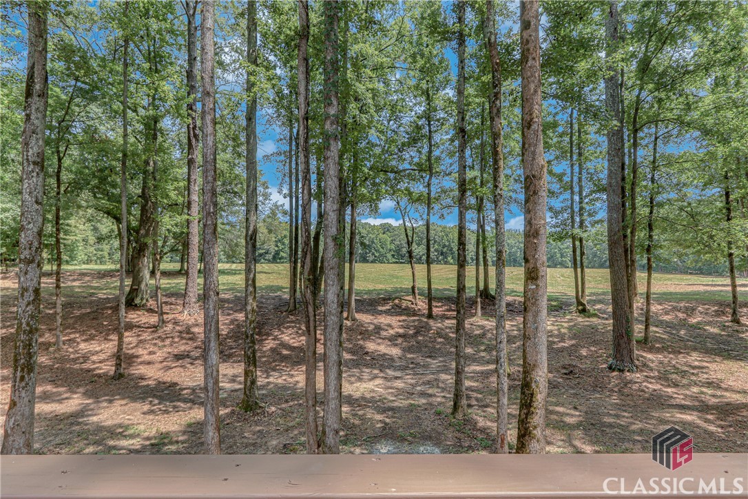 111 Echols Road Carlton, GA 30627 - Photo 48 of 70