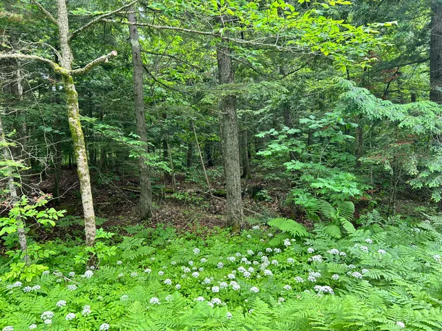 $55,000 | Dover-foxcroft Essex Street, Dover Foxcroft, ME 04426