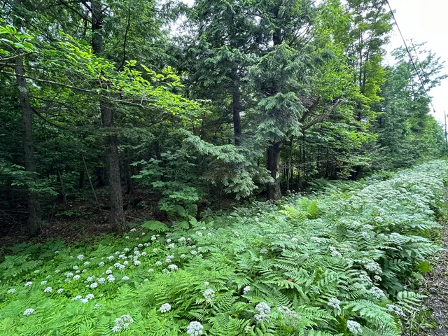 $55,000 | Dover-foxcroft Essex Street, Dover Foxcroft, ME 04426