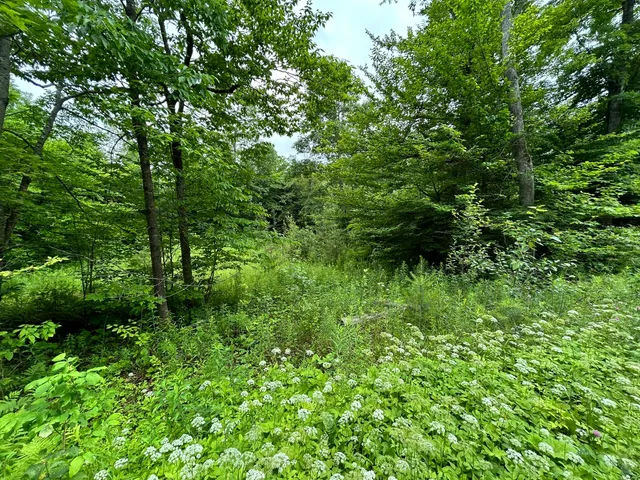 $55,000 | Dover-foxcroft Essex Street, Dover Foxcroft, ME 04426