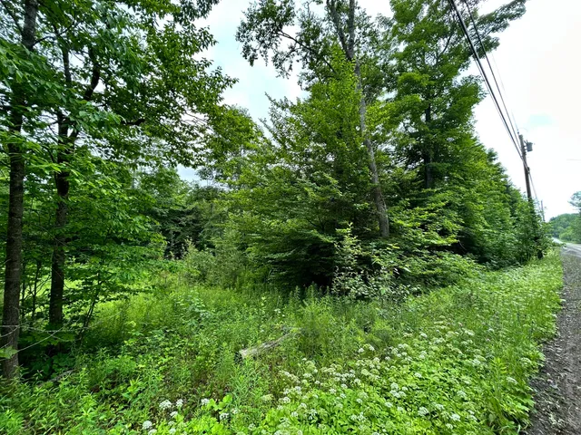 $55,000 | Dover-foxcroft Essex Street, Dover Foxcroft, ME 04426