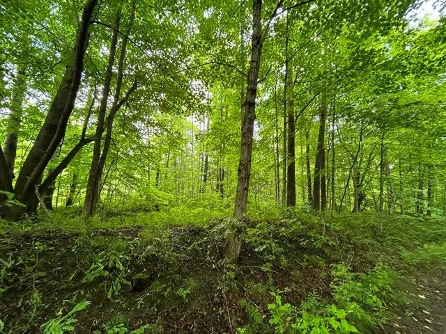 $55,000 | Dover-foxcroft Essex Street, Dover Foxcroft, ME 04426