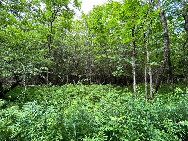 $55,000 | Dover-foxcroft Essex Street, Dover Foxcroft, ME 04426