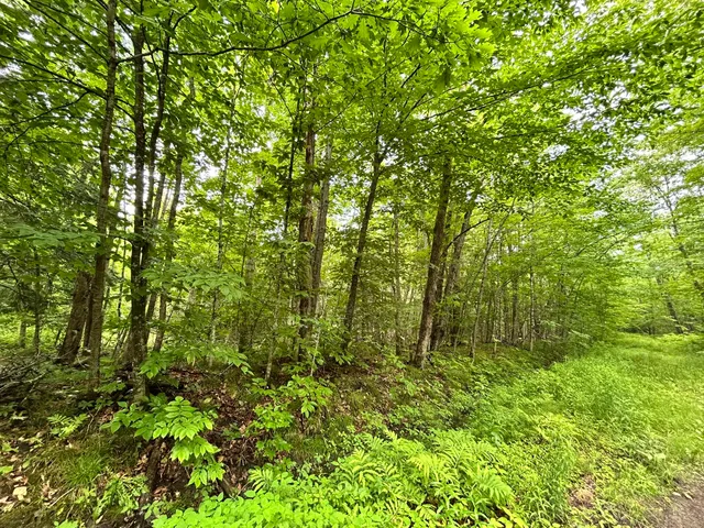 $55,000 | Dover-foxcroft Essex Street, Dover Foxcroft, ME 04426