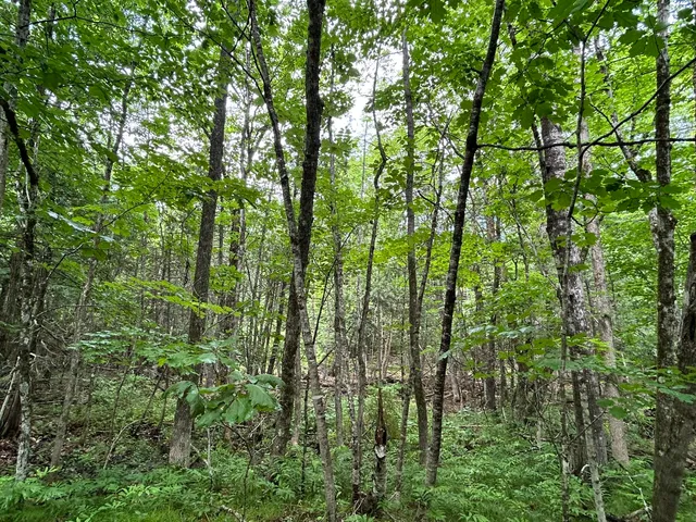 $55,000 | Dover-foxcroft Essex Street, Dover Foxcroft, ME 04426