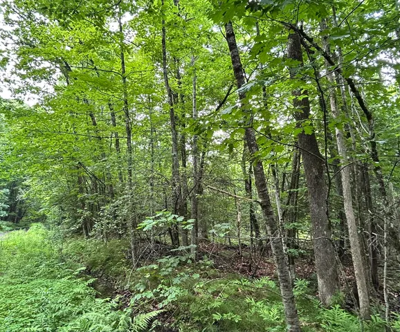 $55,000 | Dover-foxcroft Essex Street, Dover Foxcroft, ME 04426