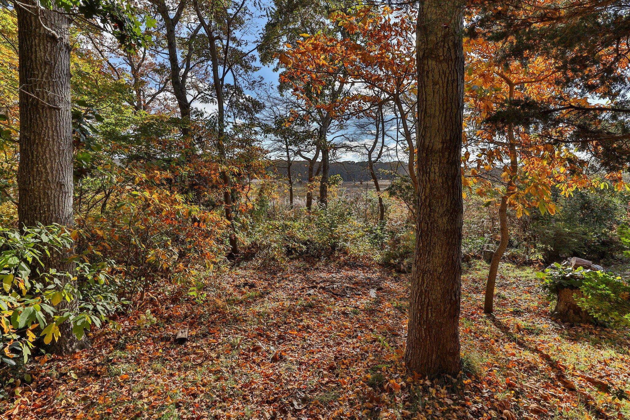64 Captain Linnell Road Orleans, MA 02653 - Photo 14 of 38 21-web-or-mls-64-captain-linnell-rd