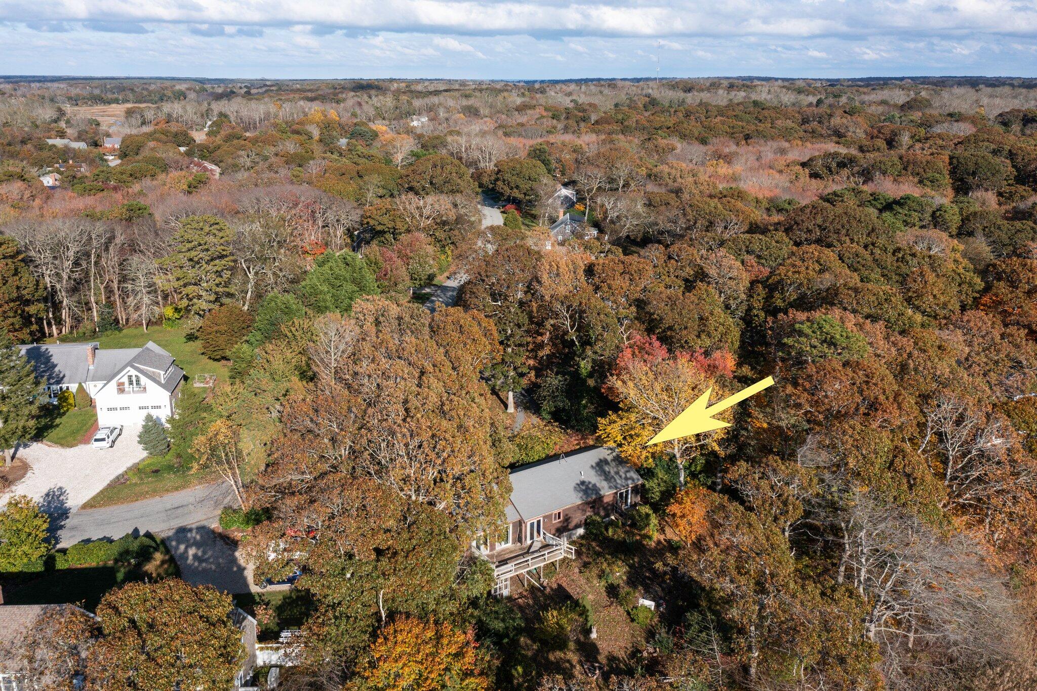 64 Captain Linnell Road Orleans, MA 02653 - Photo 23 of 38 36-web-or-mls-64cap-3