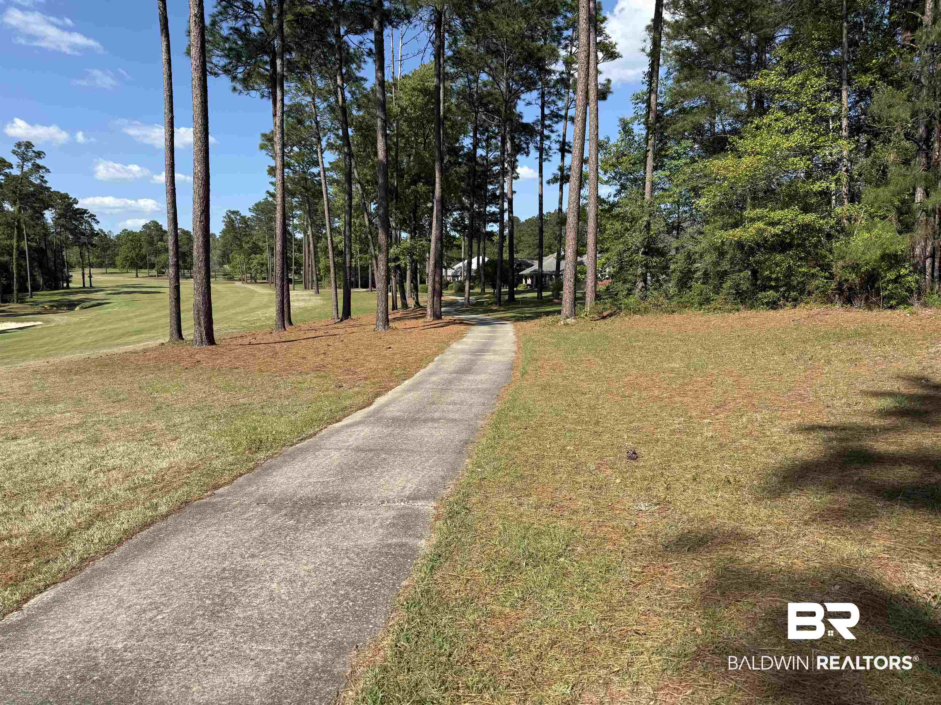 0 Juniper Creek Road Brewton, AL 36426 - Photo 3 of 5 Gallery Image 3
