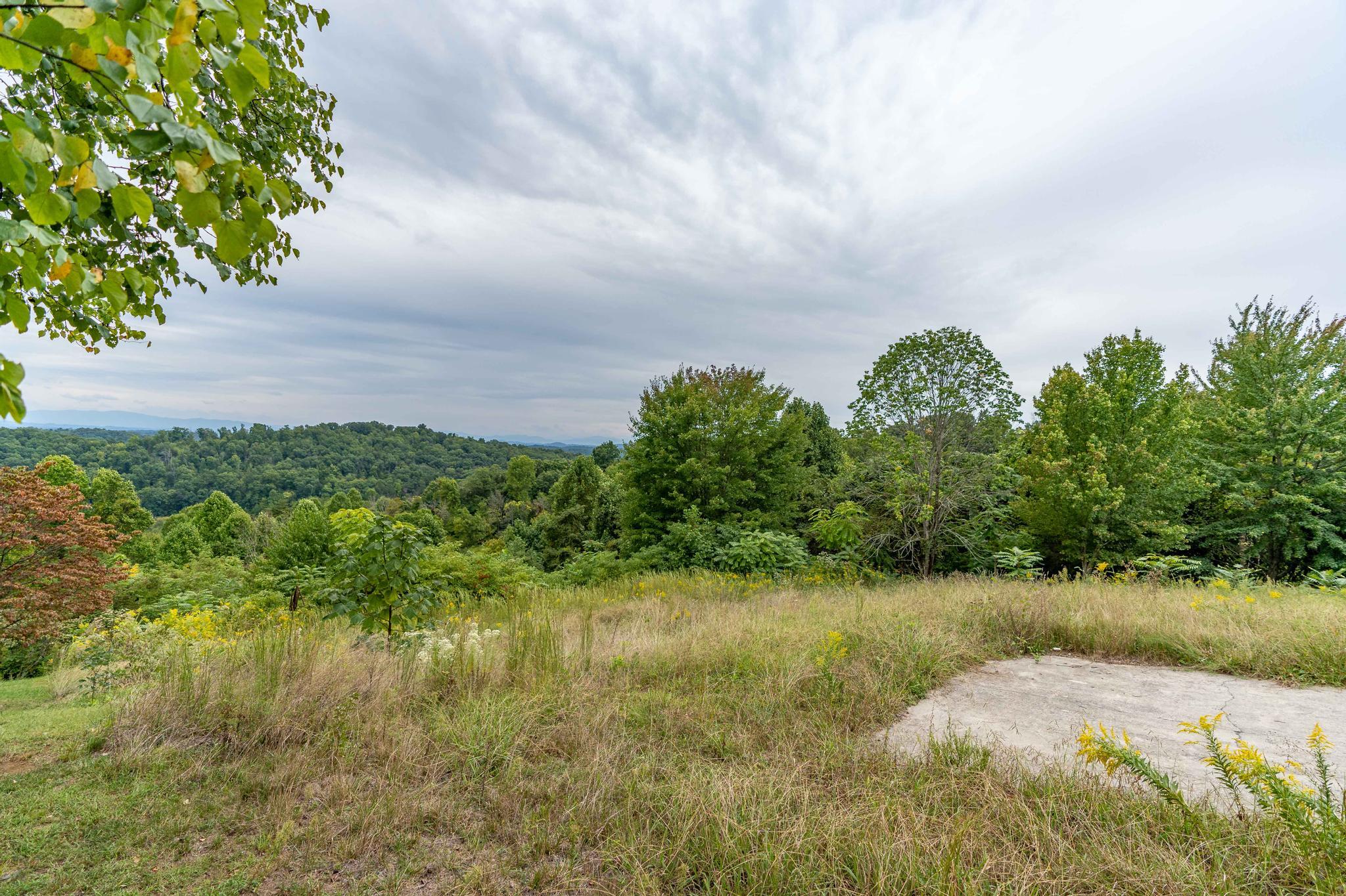 473 Hidden Acres Road, Unit 1517 Kingsport, TN 37664 - Photo 12 of 22 473 Hidden Acres Road (35 of 35)
