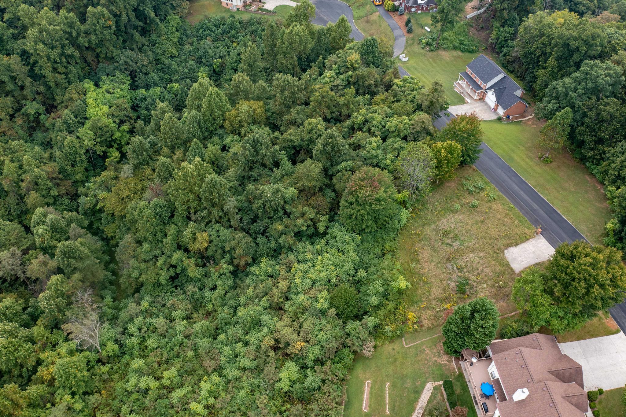 473 Hidden Acres Road, Unit 1517 Kingsport, TN 37664 - Photo 18 of 22 473 Hidden Acres Road (11 of 35)