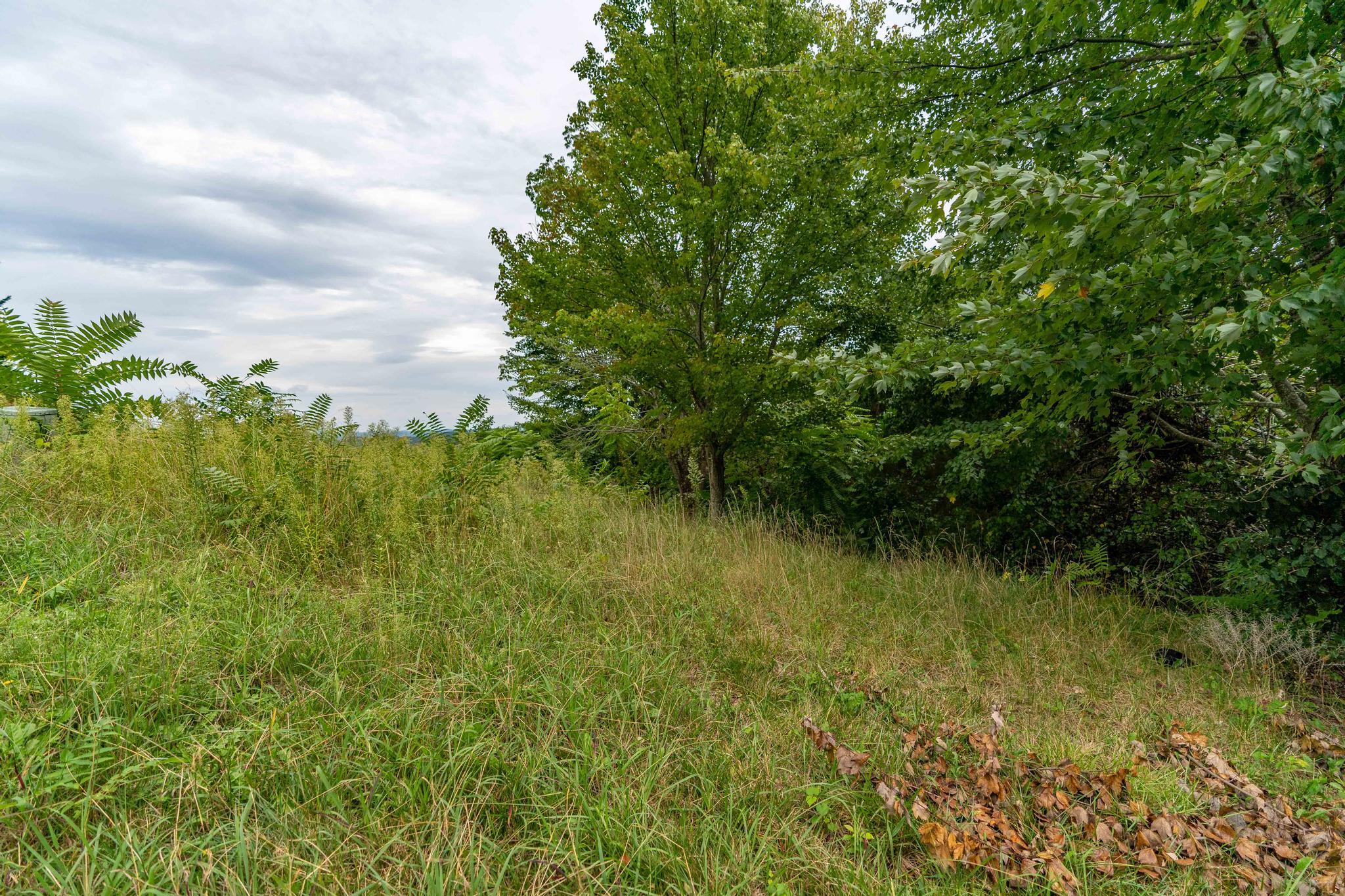 473 Hidden Acres Road, Unit 1517 Kingsport, TN 37664 - Photo 6 of 22 473 Hidden Acres Road (26 of 35)